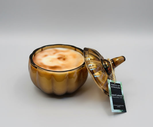 Spiced Cashmere Candle | Cinnamon Spiced Warmth Essence of Audreylina